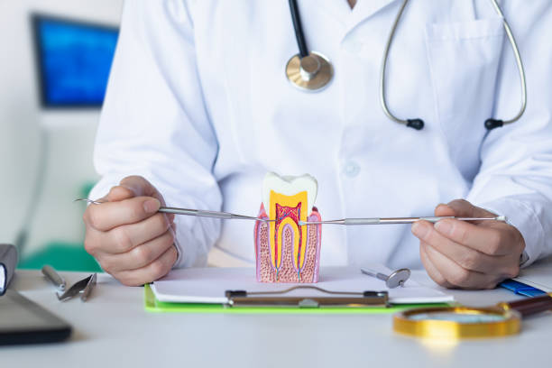 Best Emergency Dental Extractions in Paisley, FL